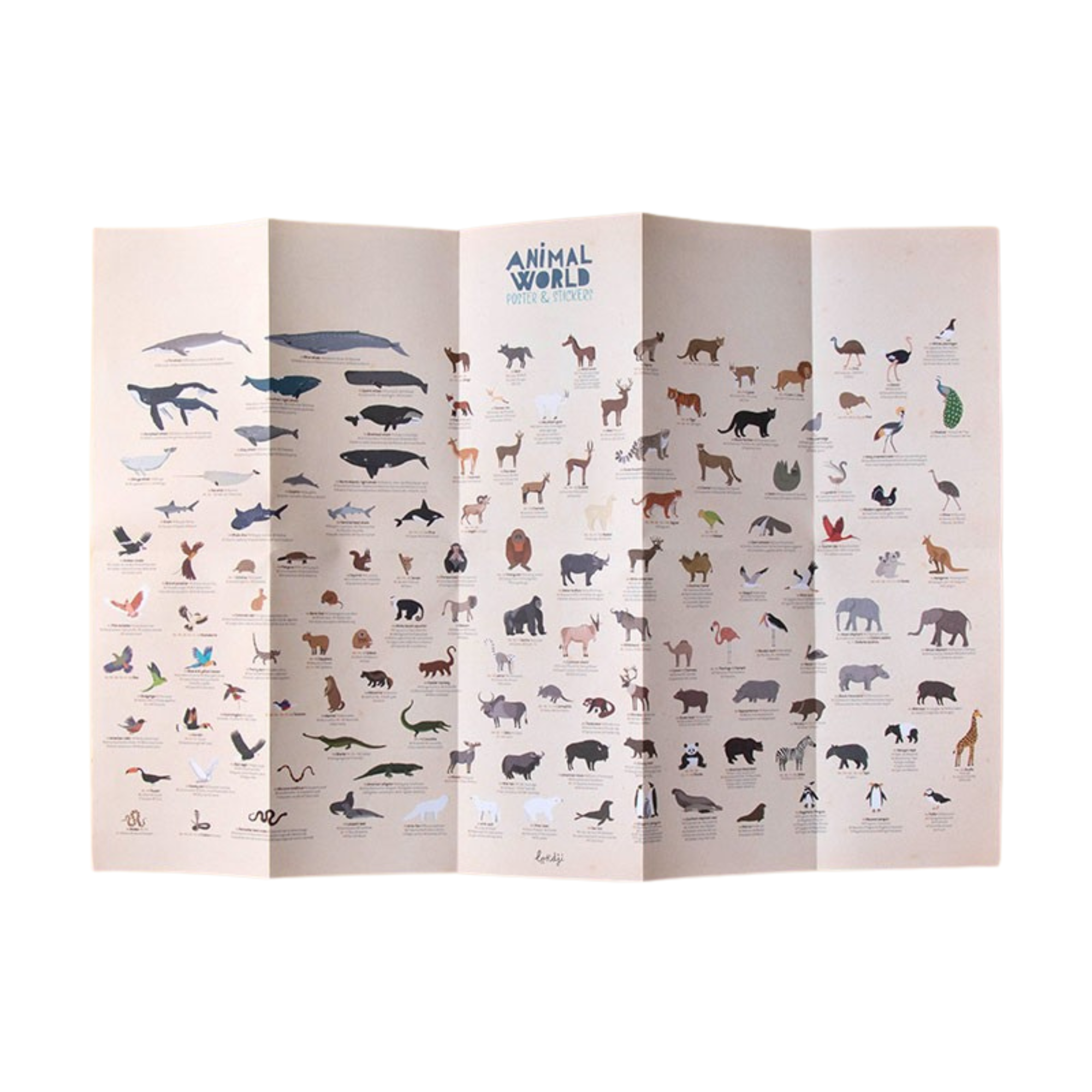 Plakatas su lipdukais - Animal world