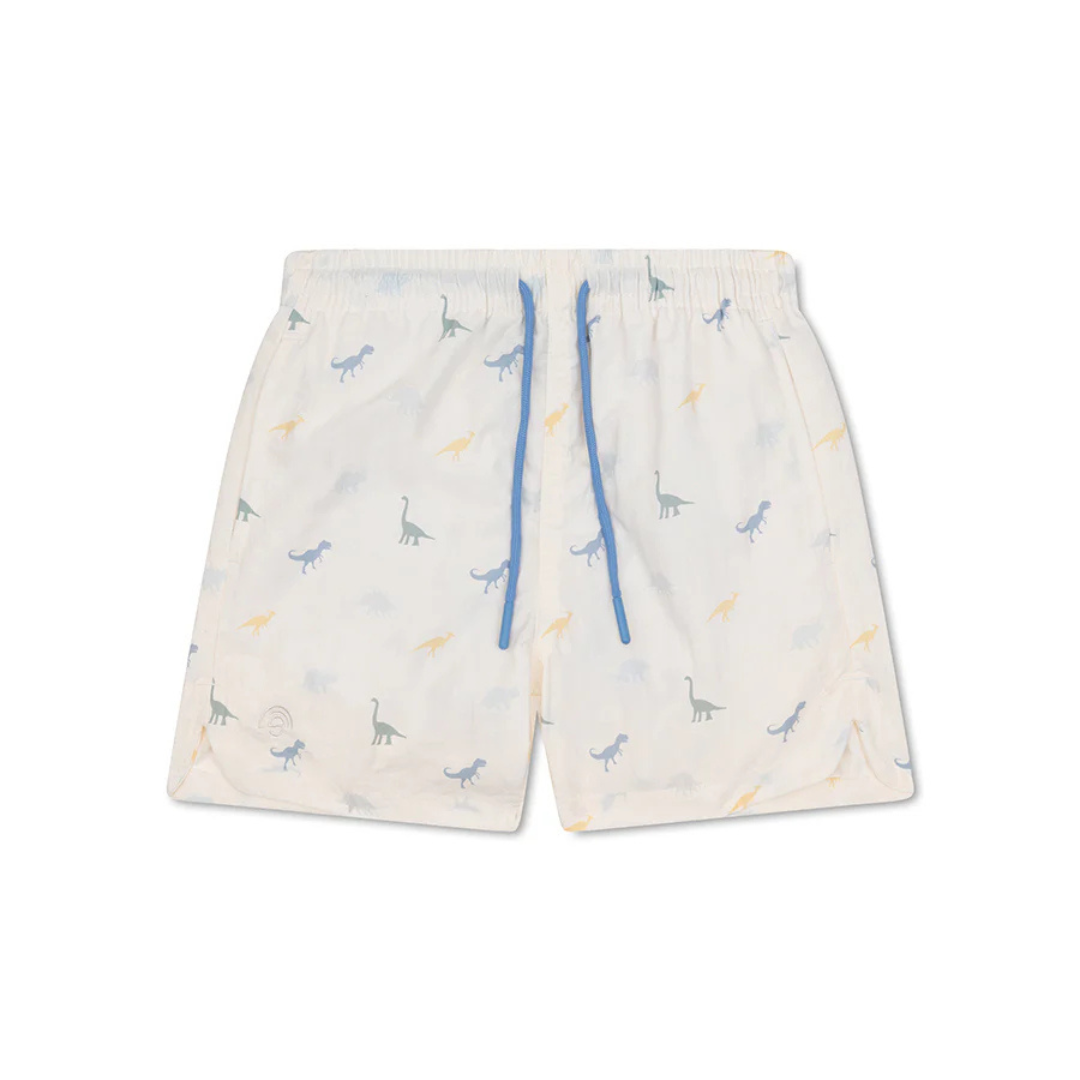 Swim shorts - Blue Stripes