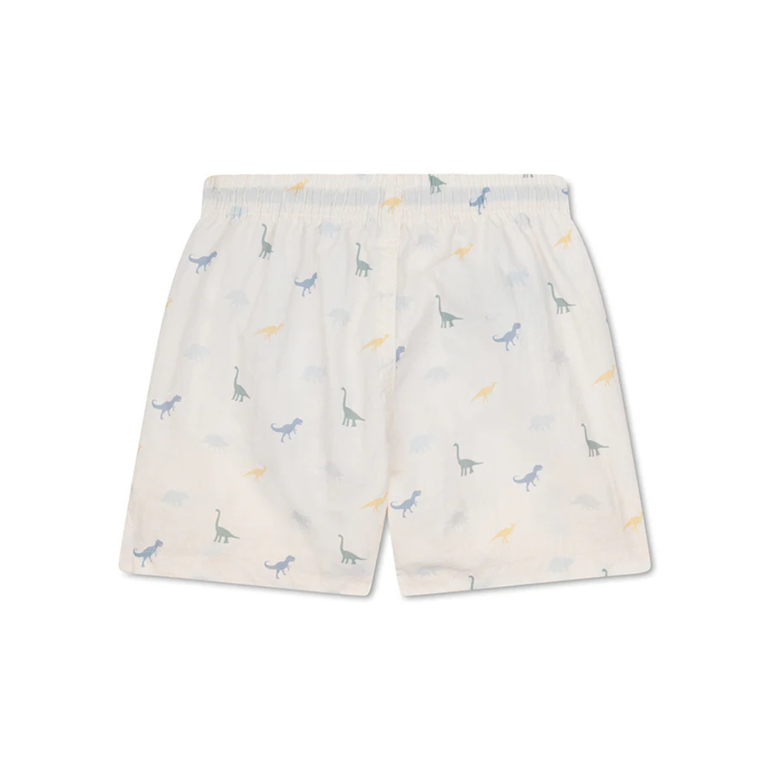 Swim shorts - Blue Stripes