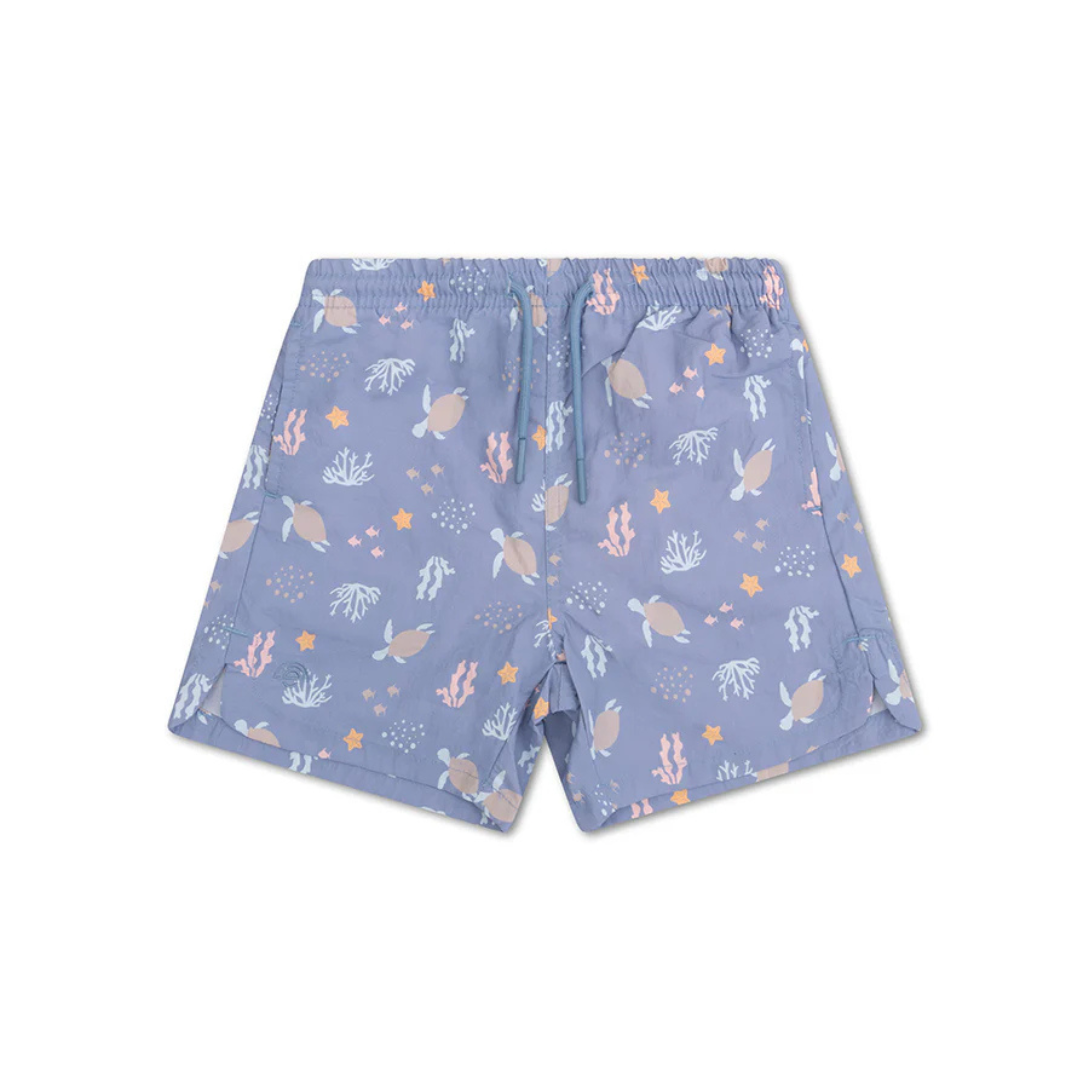 Swim shorts - Blue Stripes