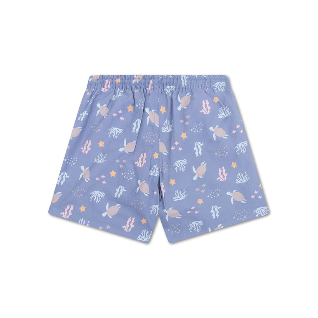 Swim shorts - Blue Stripes