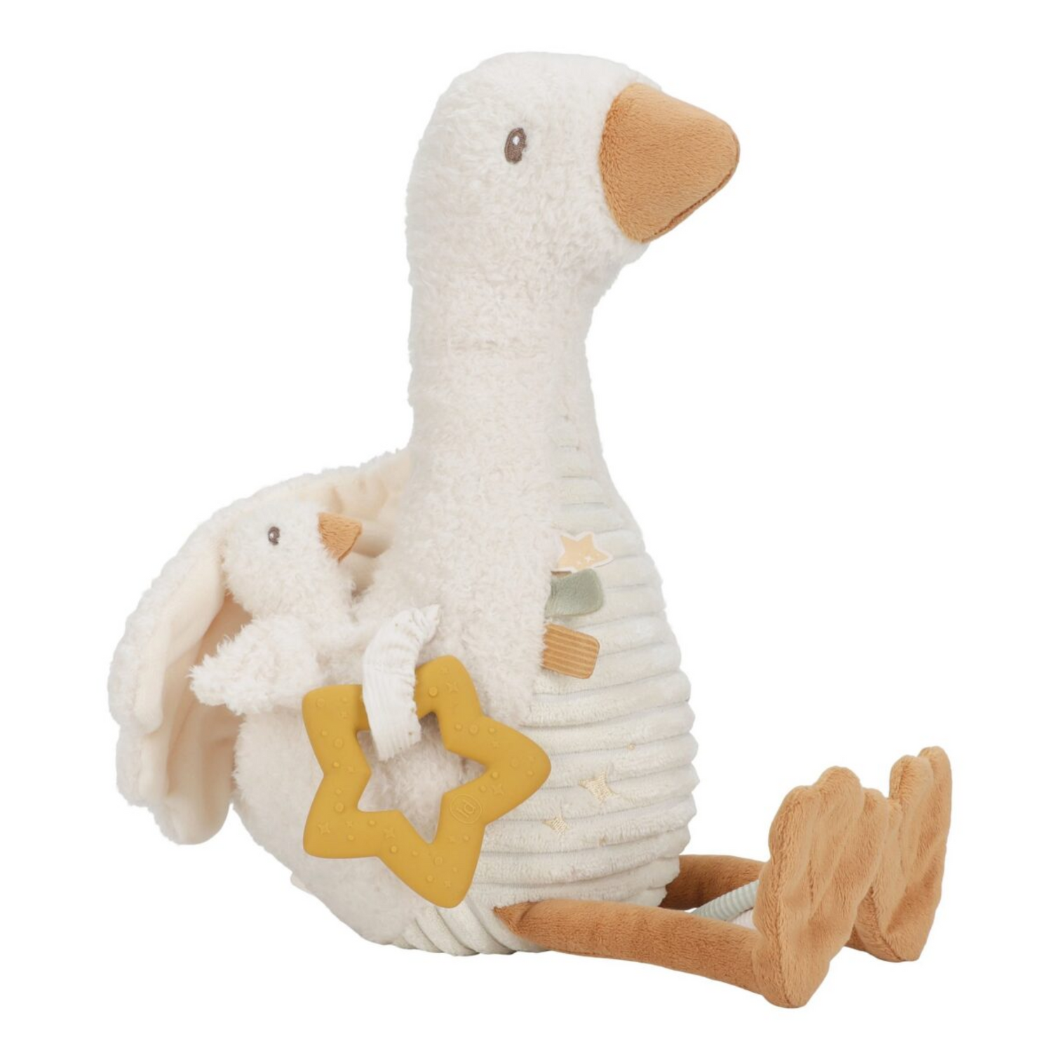 Activity chicken
