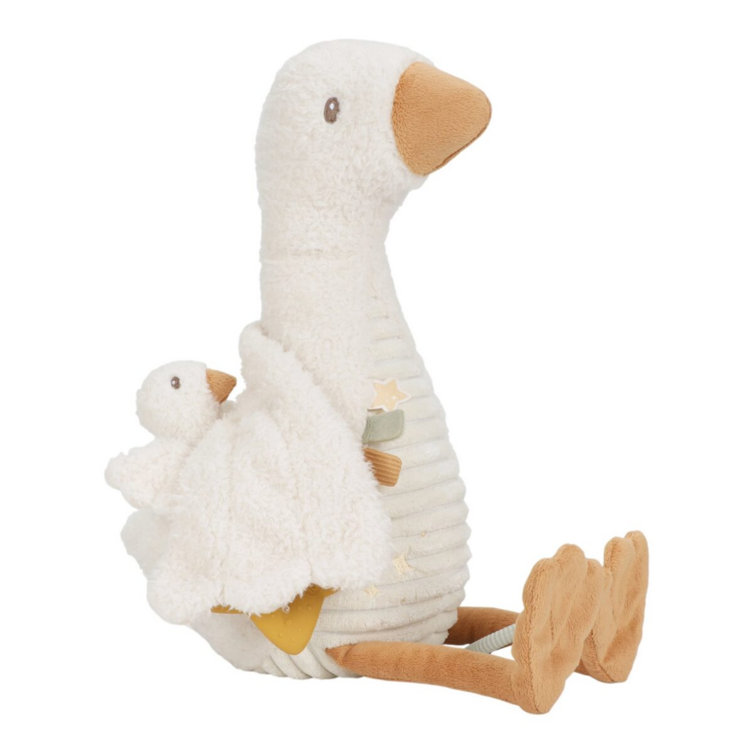 Activity chicken