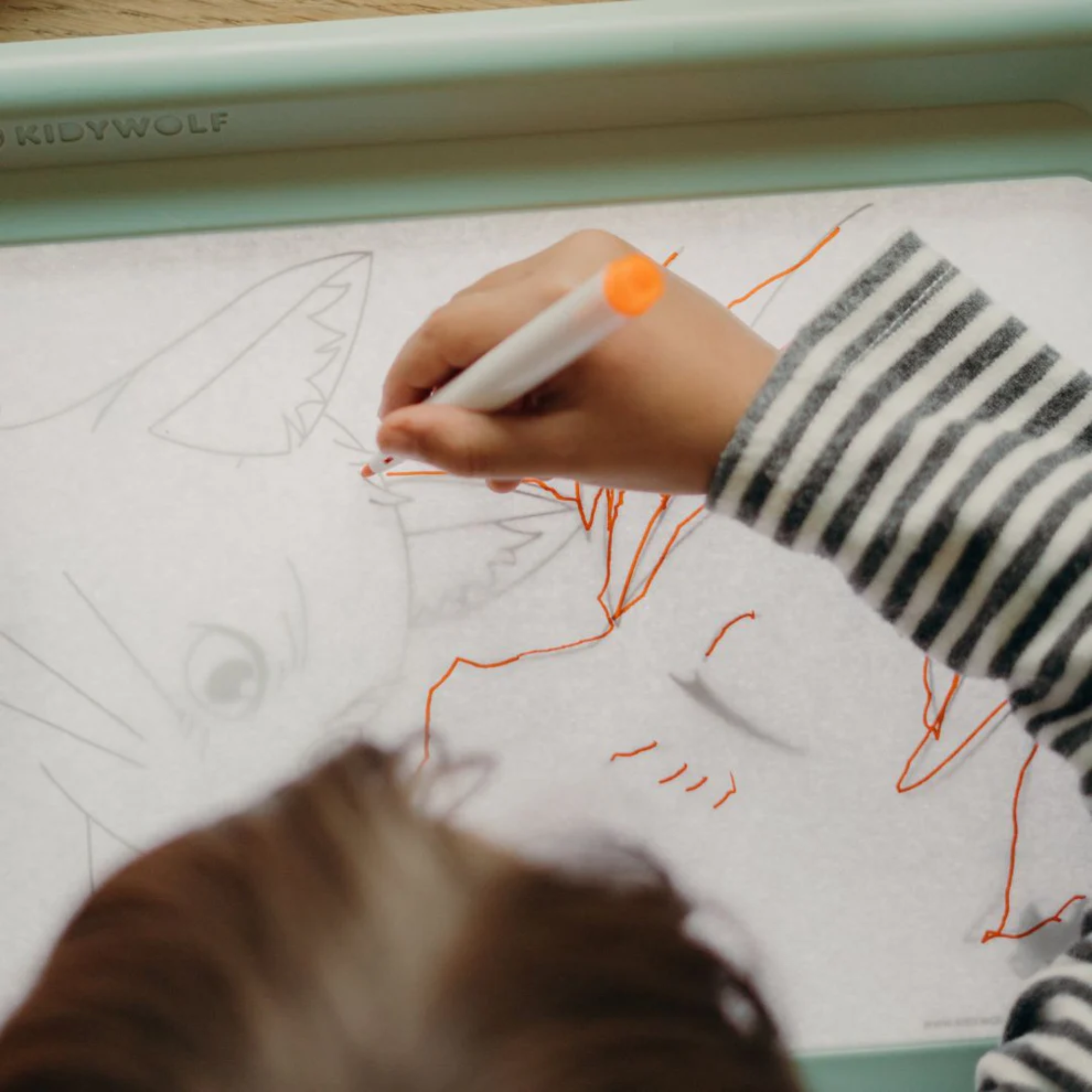 Šviečianti piešimo planšetė Kidydraw Pro