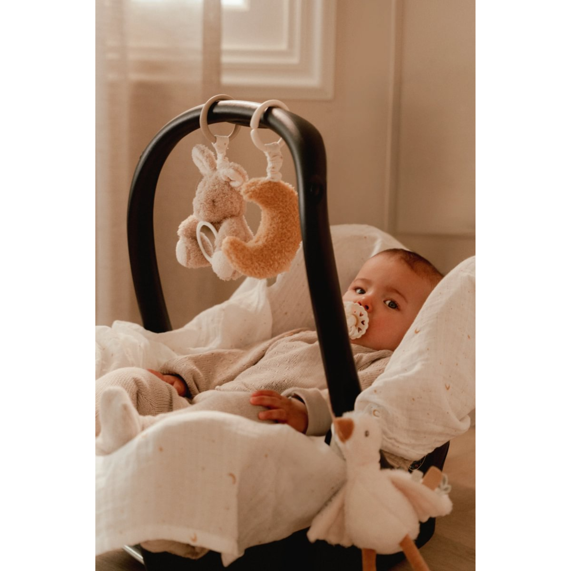 Pakabinami žaisliukai - Newborn Naturals