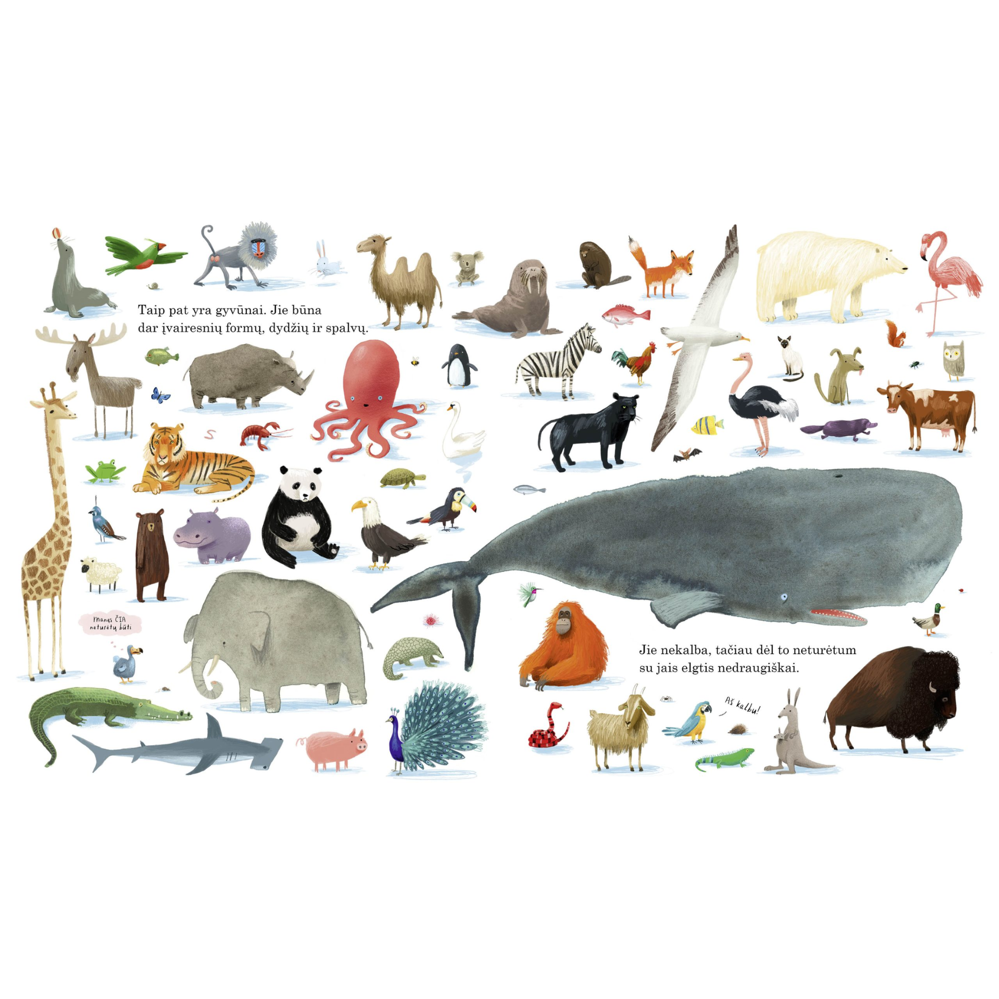 Oliver Jeffers | Mes esame čia