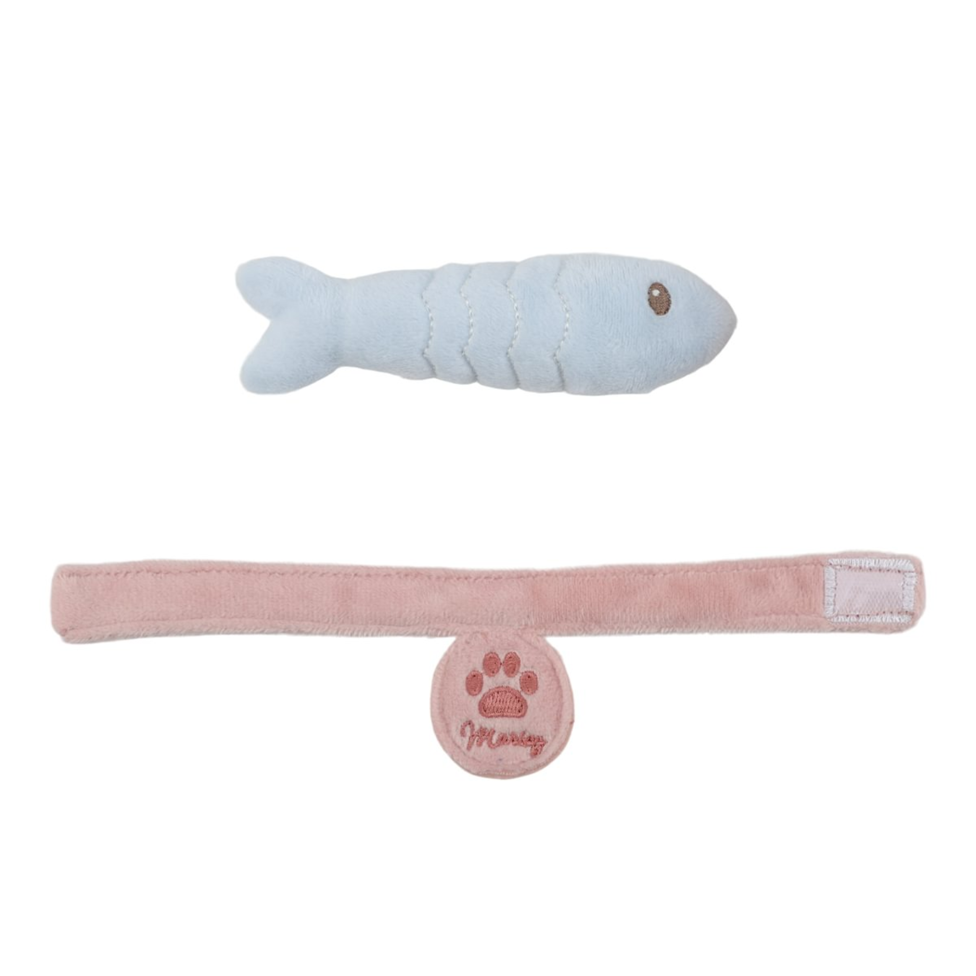 Kačiukas krepšelyje