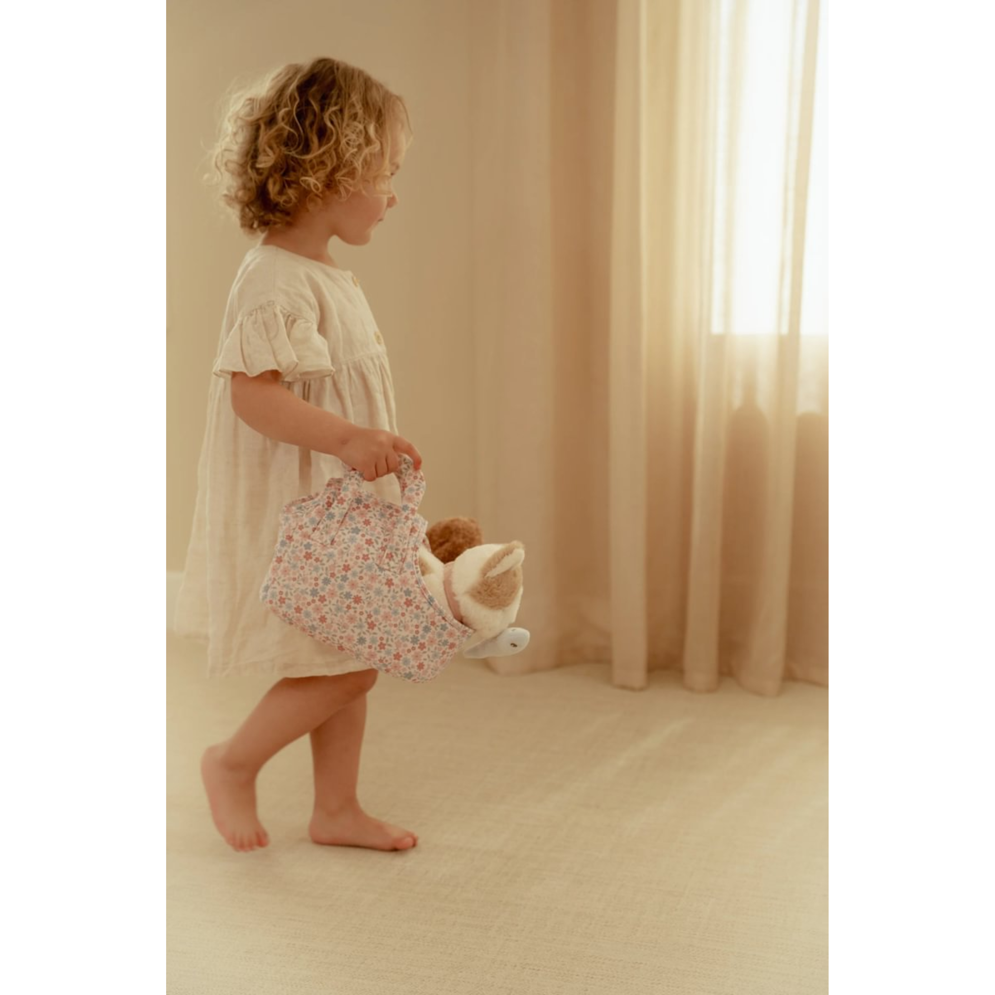 Kačiukas krepšelyje