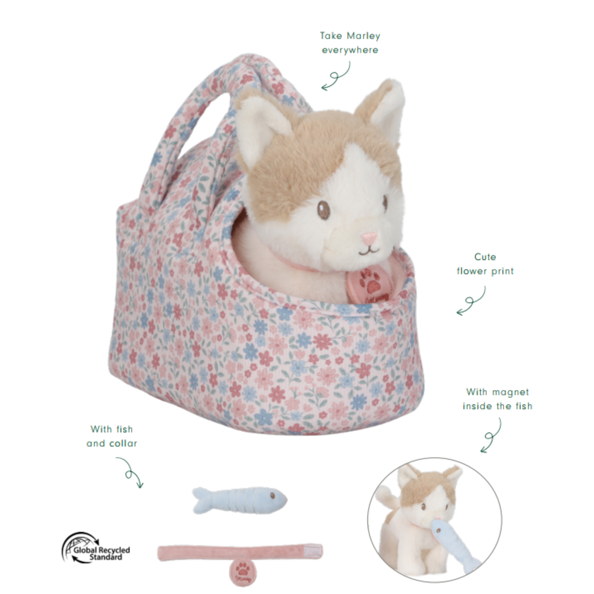 Kačiukas krepšelyje