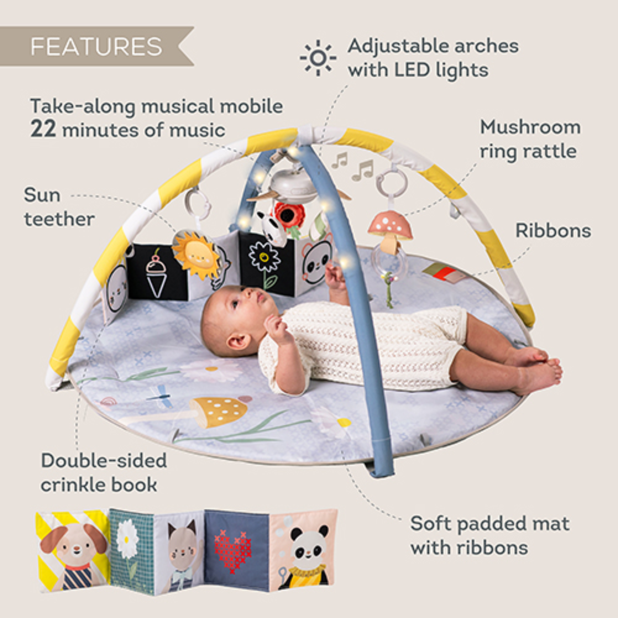 Lavinamasis maniežas - Melody Bloom