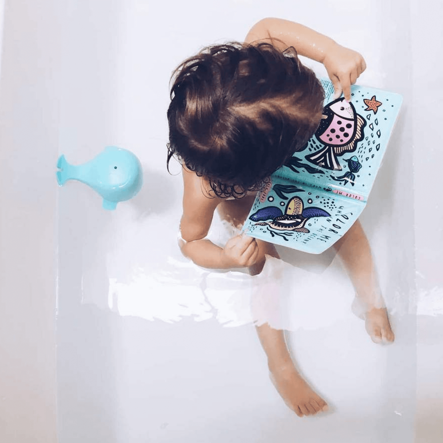 Wee Gallery Bath Book Color Me:Who&