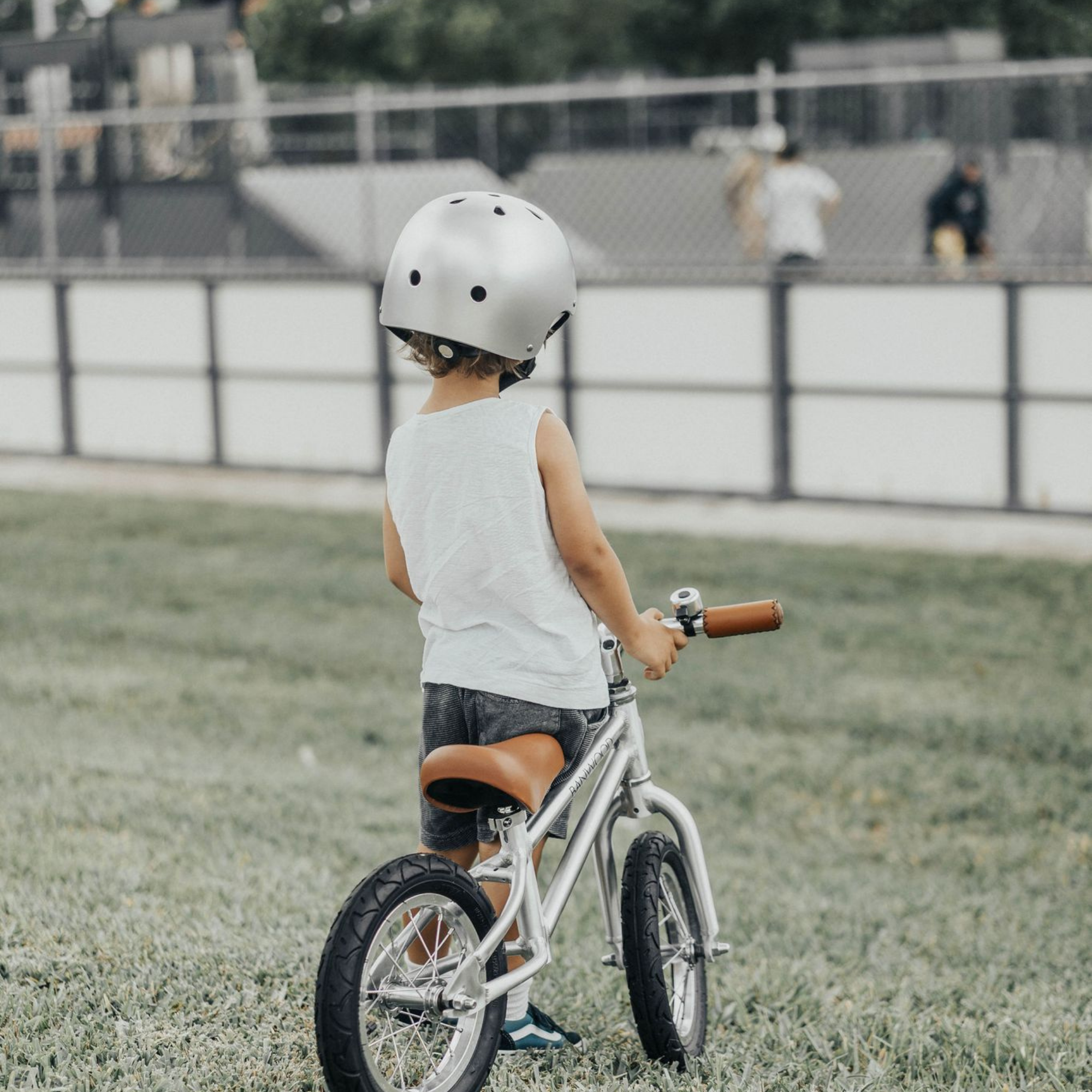 Banwood Chrome Helmet
