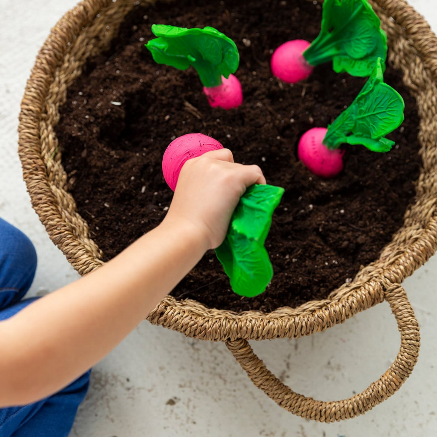 Kramtukas Ramona the Radish