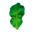 Kramtukas Kendall the Kale - little-goose.com