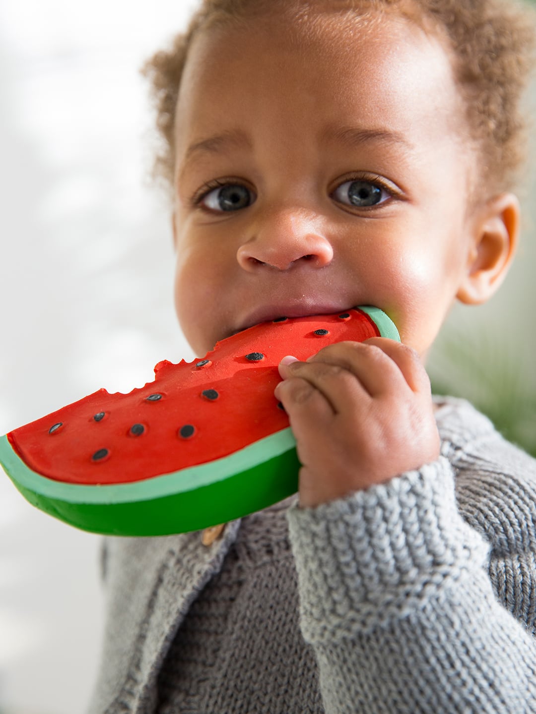 Kramtukas Wally the Watermelon - little-goose.com