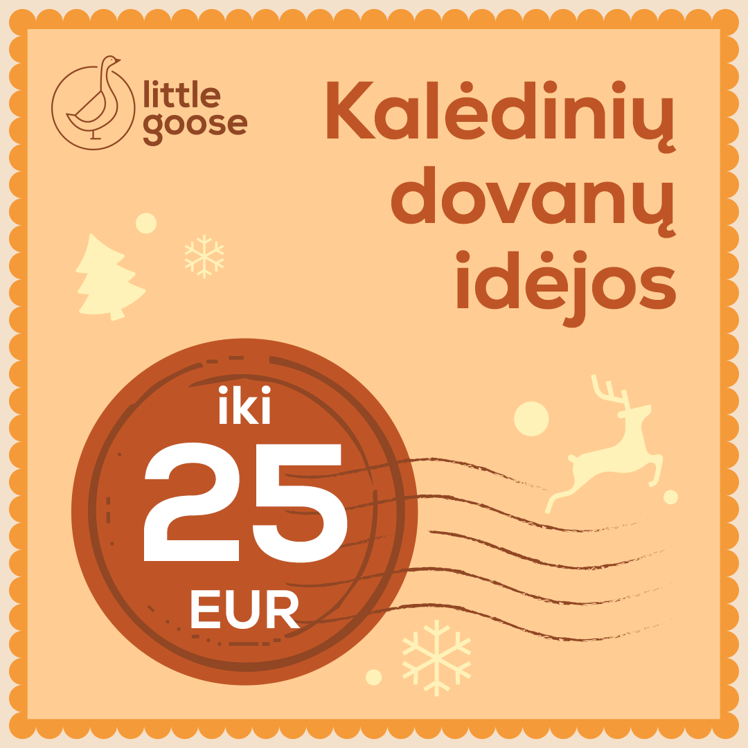Dovanos vaikams iki 25 EUR
