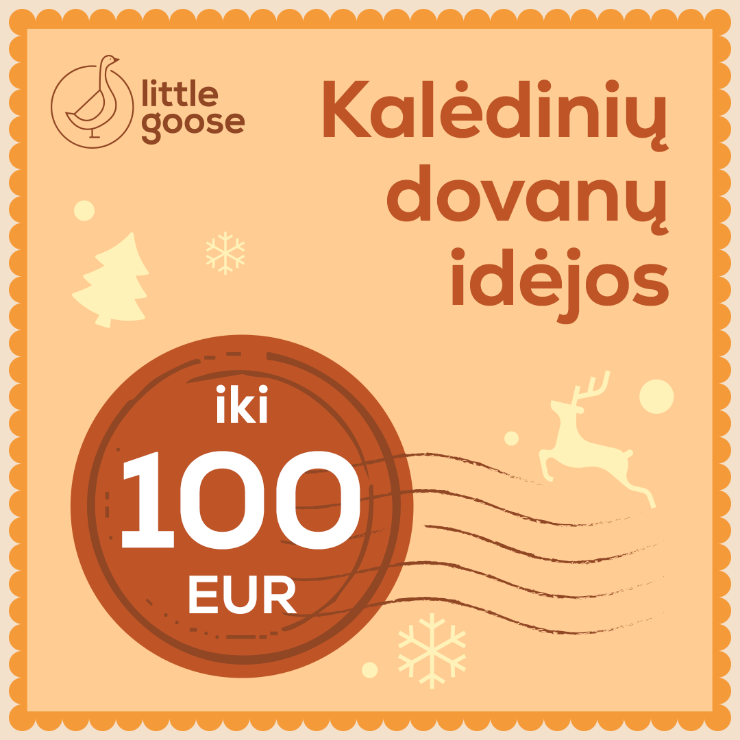 Dovanos vaikams iki 100 EUR