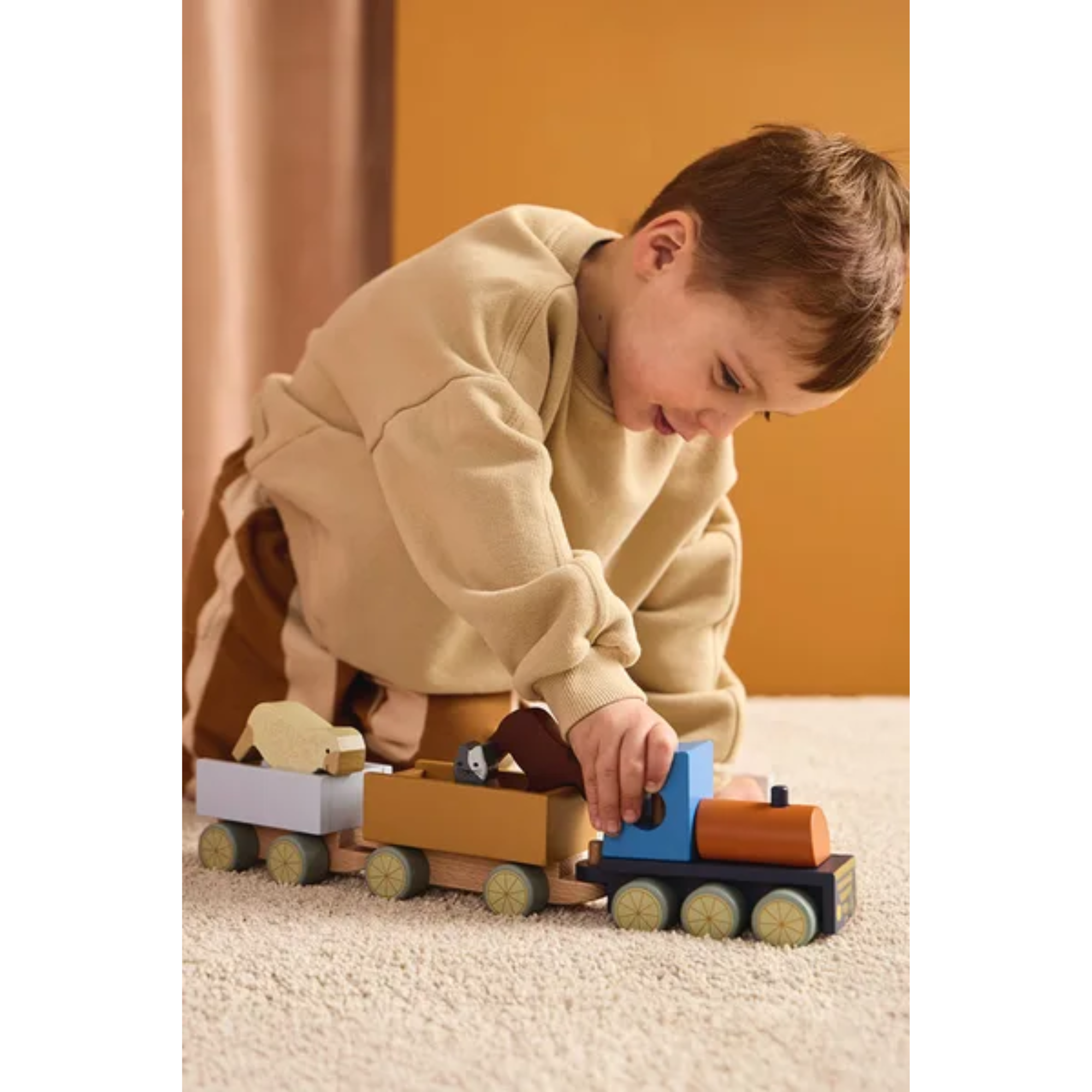 Traukinukas su ūkio gyvūnais