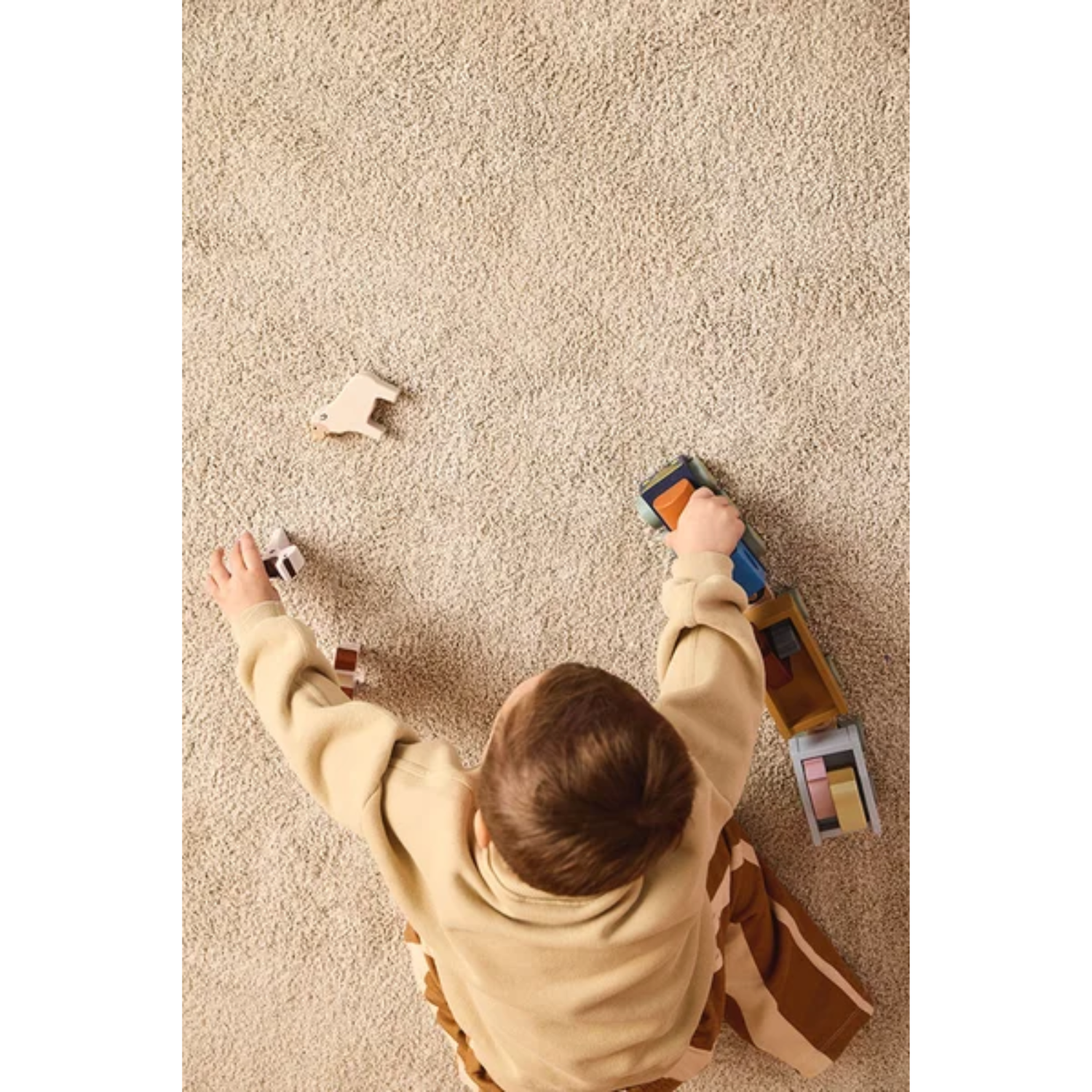 Traukinukas su ūkio gyvūnais