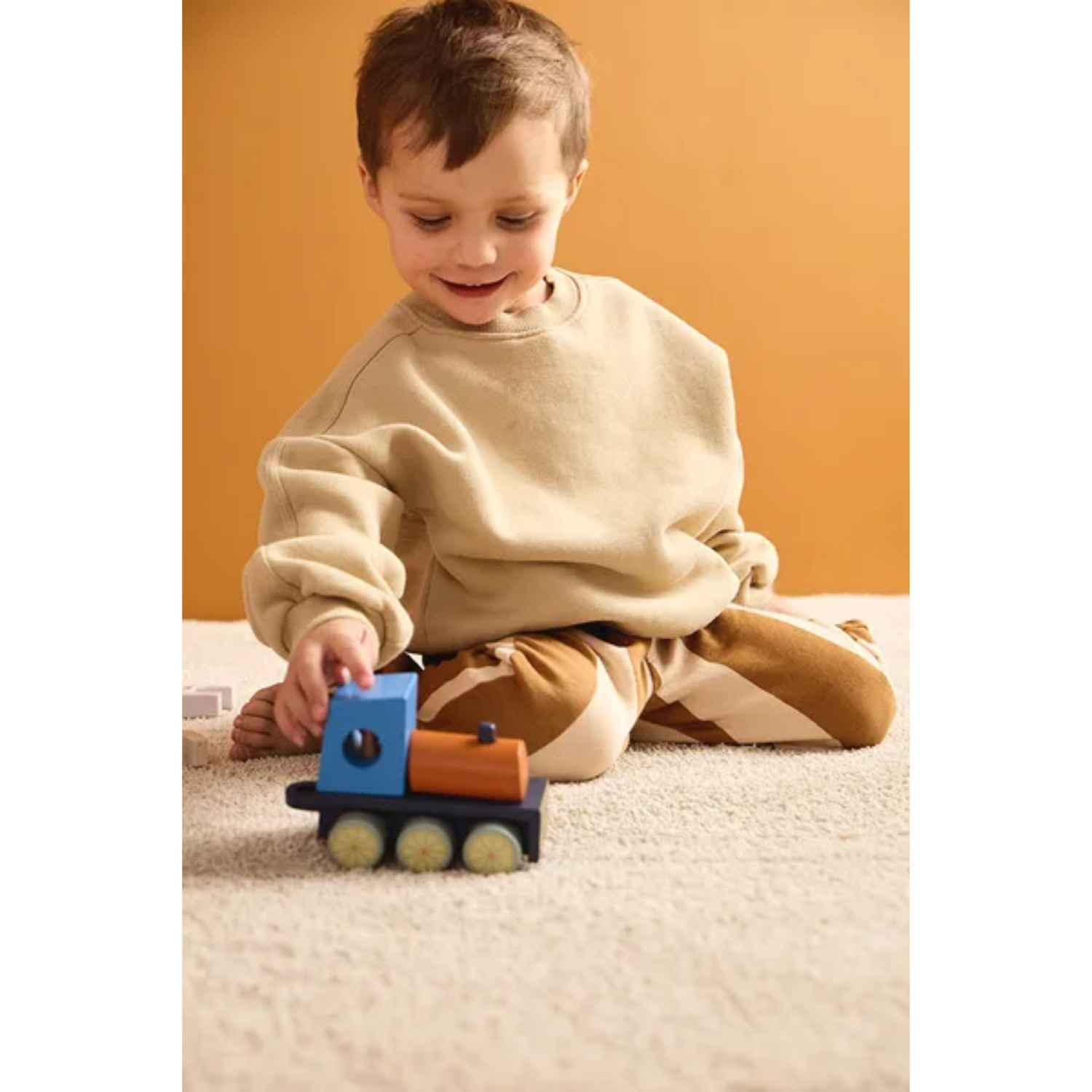 Traukinukas su ūkio gyvūnais