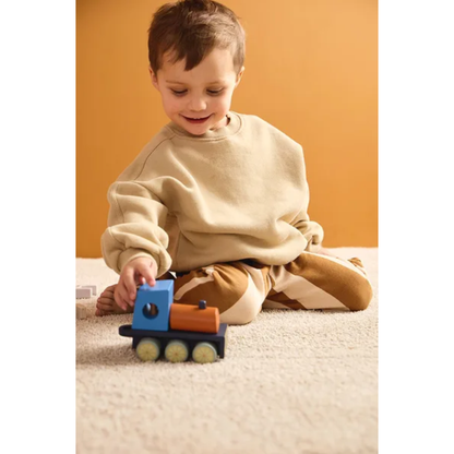 Traukinukas su ūkio gyvūnais