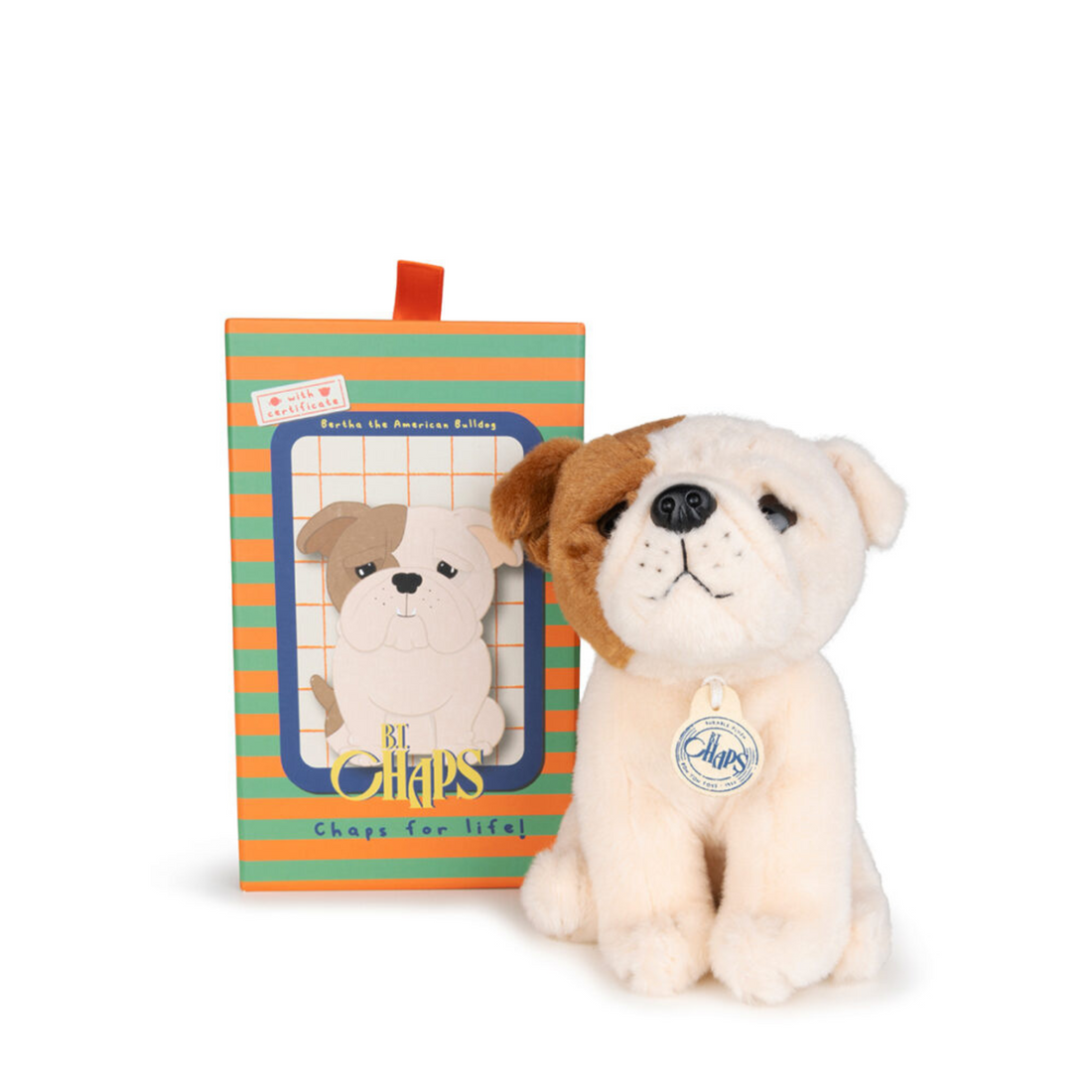 Puppy Bertha in a gift box