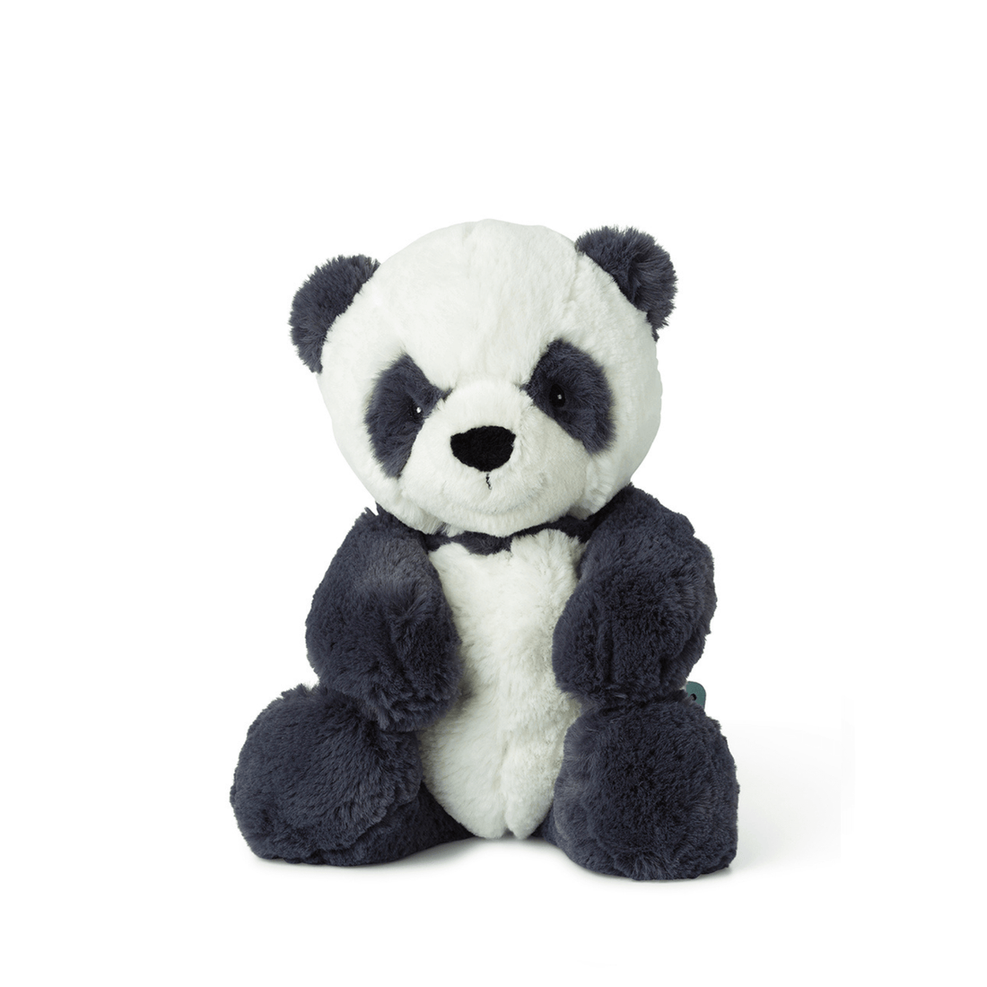 The little bear - Panda Panu