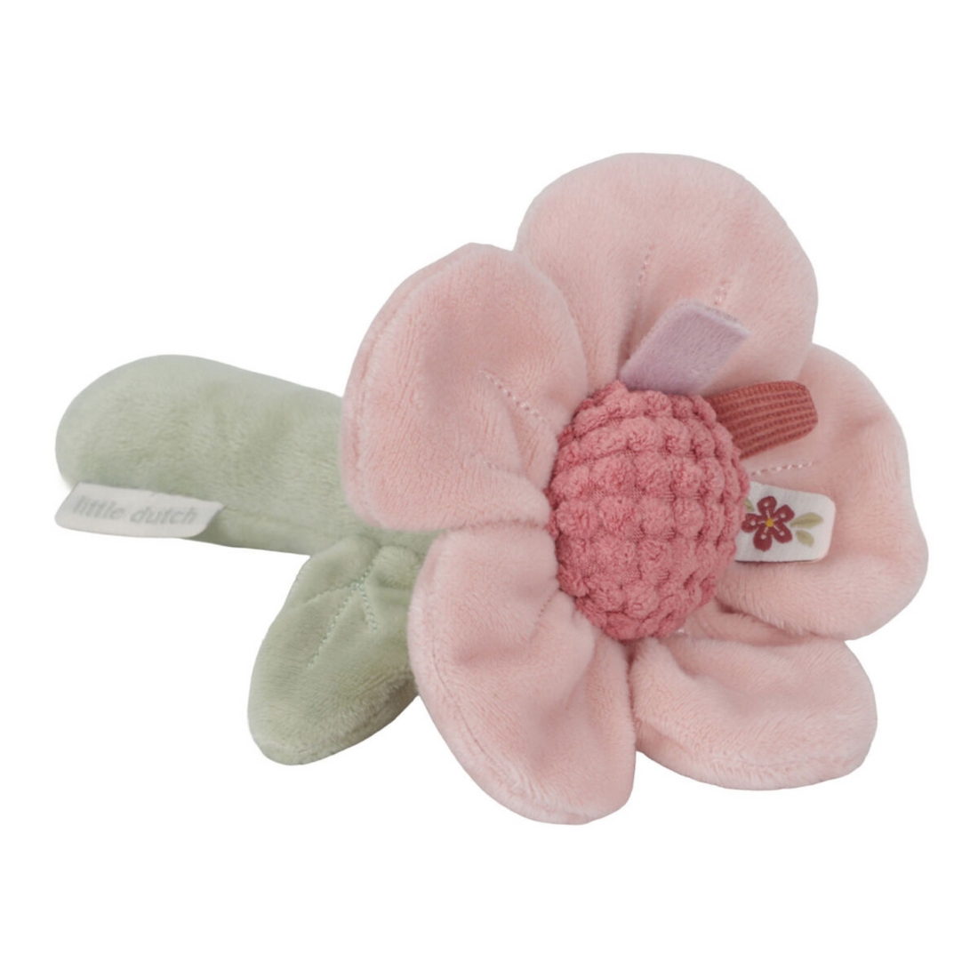 Little Dutch Rattle Flower