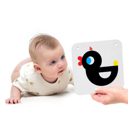 A set of contrasting cards and books for babies