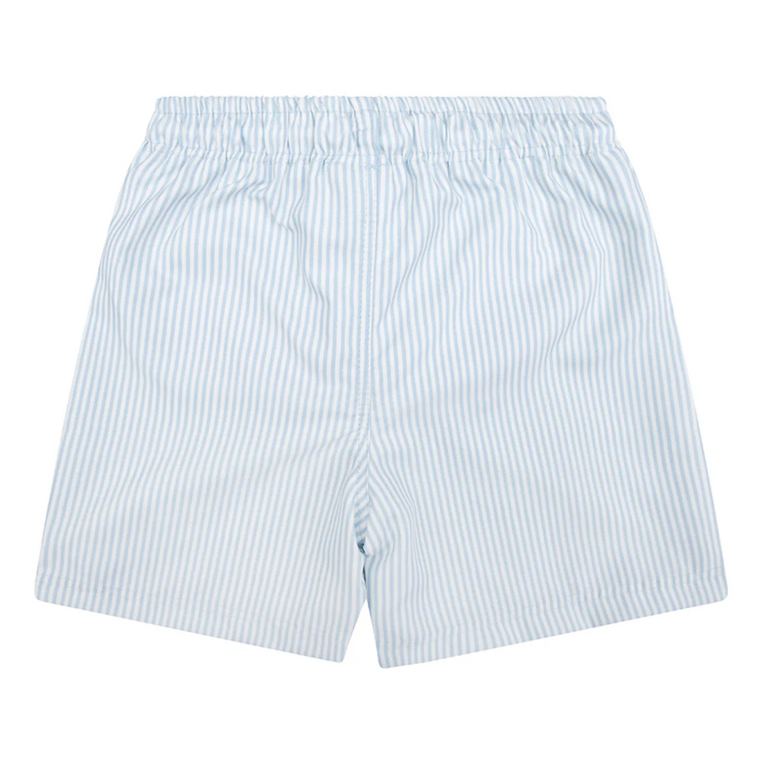 Swim shorts - Blue Stripes