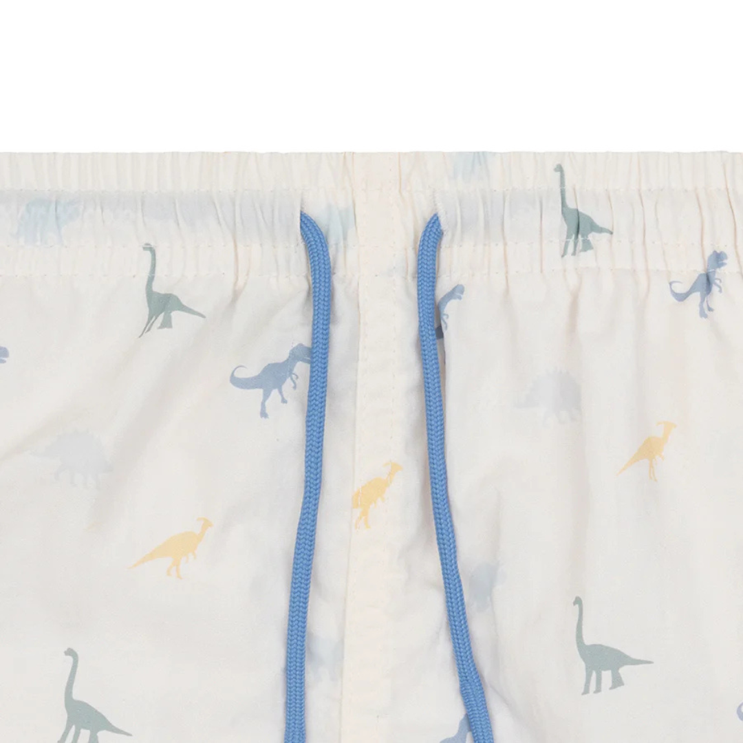 Swim shorts - Blue Stripes