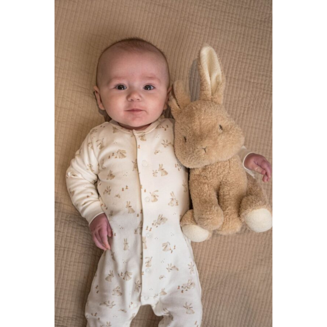 Plush bunny - Bunny 25 cm