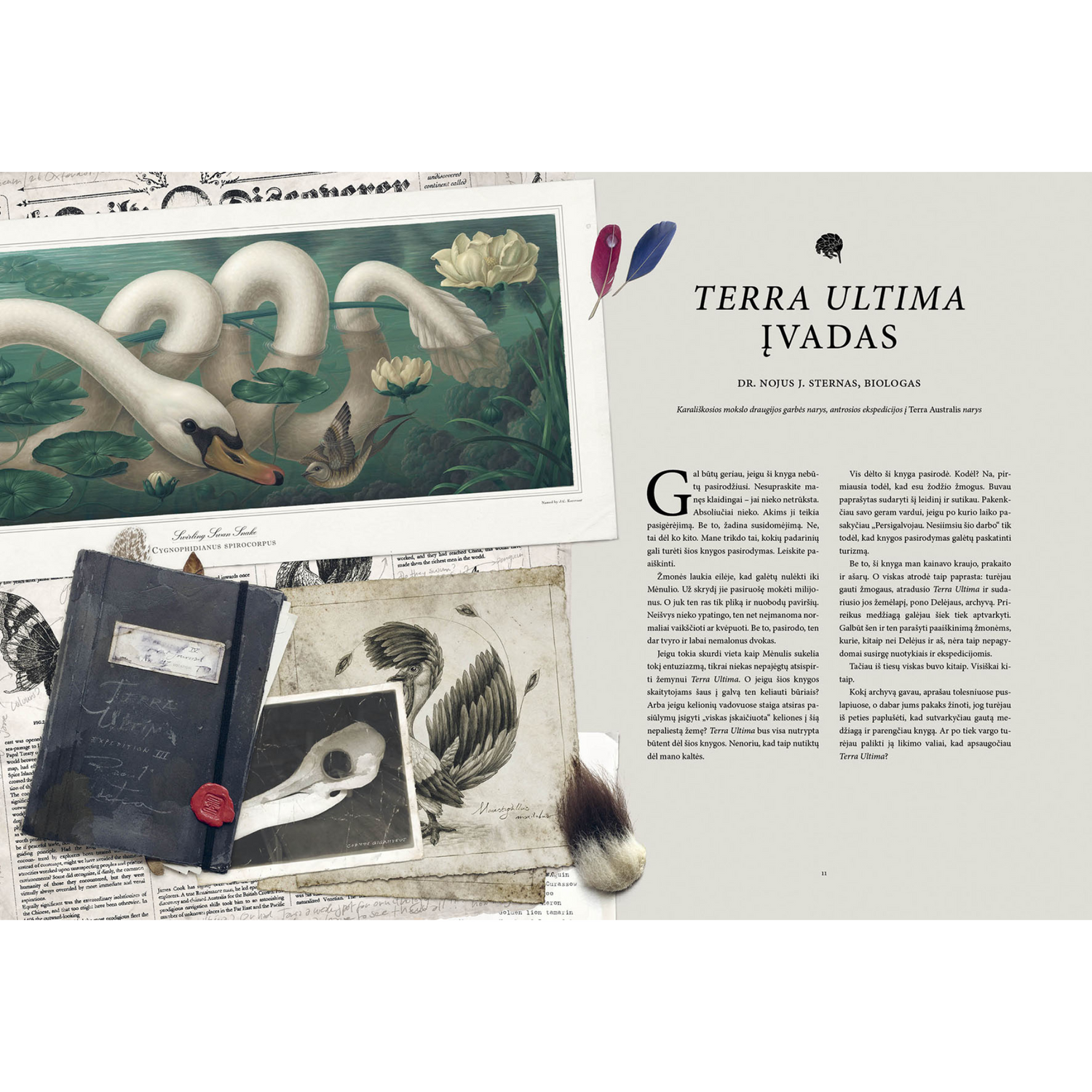 Raoul Deleo | Terra Ultima