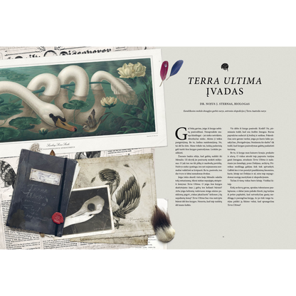 Raoul Deleo | Terra Ultima