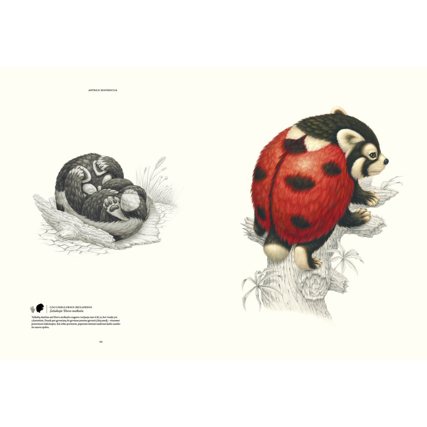 Raoul Deleo | Terra Ultima