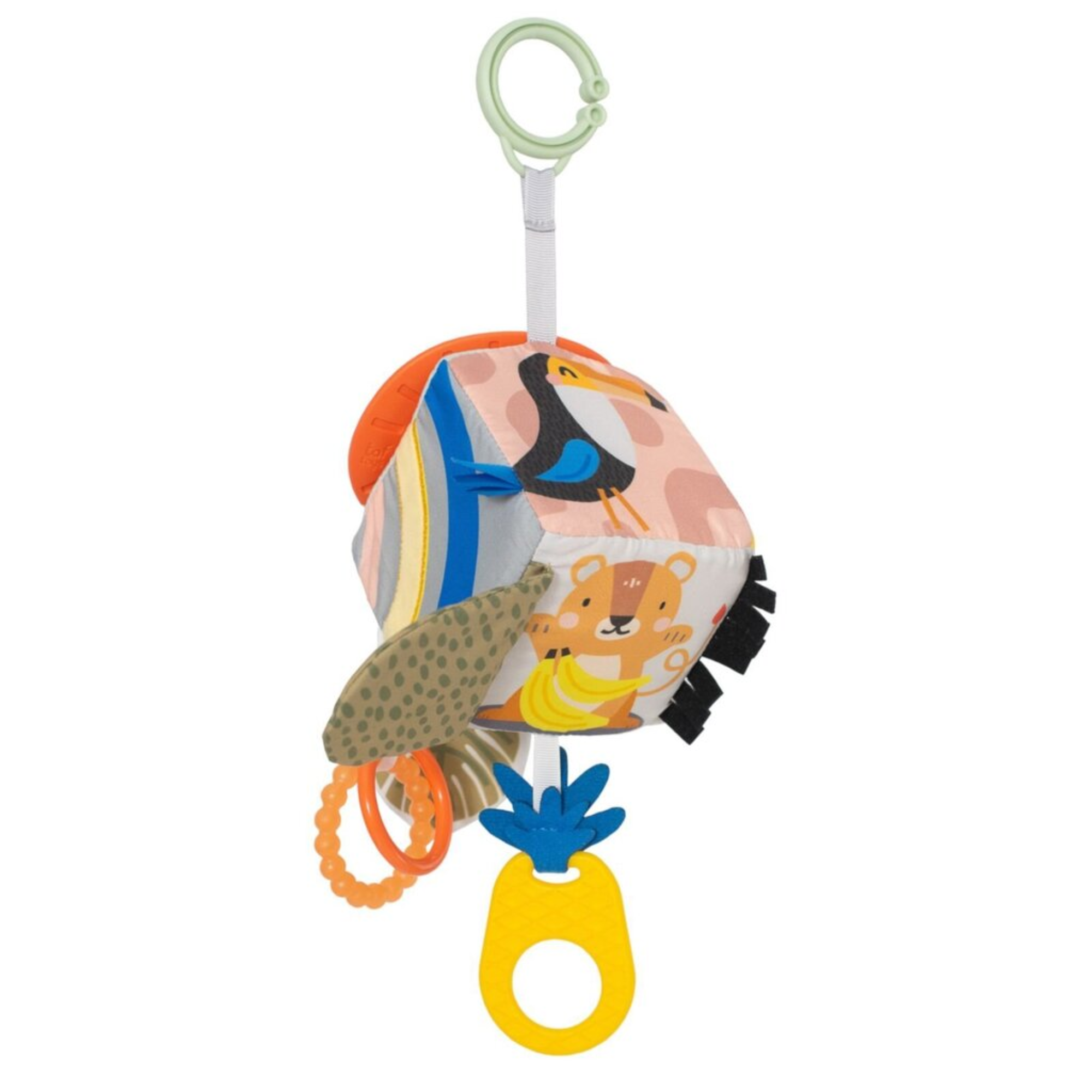 Užsiėmimų kubas - Savannah