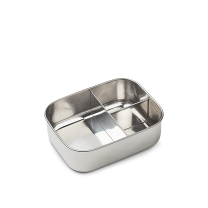 Arthur užkandžių dėžutė - Dinosaurs / Mist