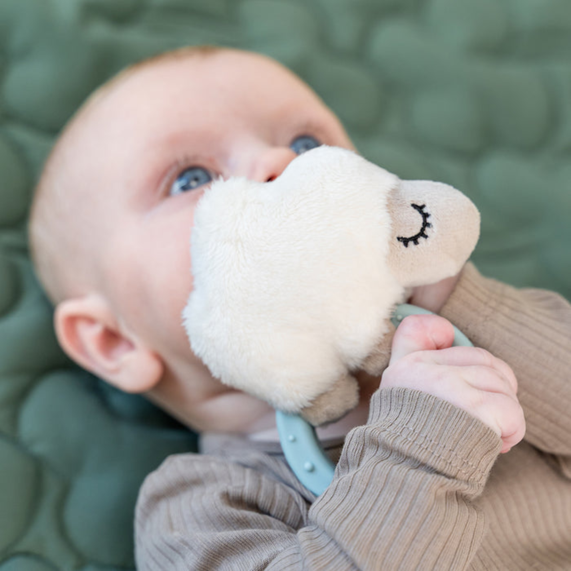 Barškutis su kramtuku - Sheepy Blue