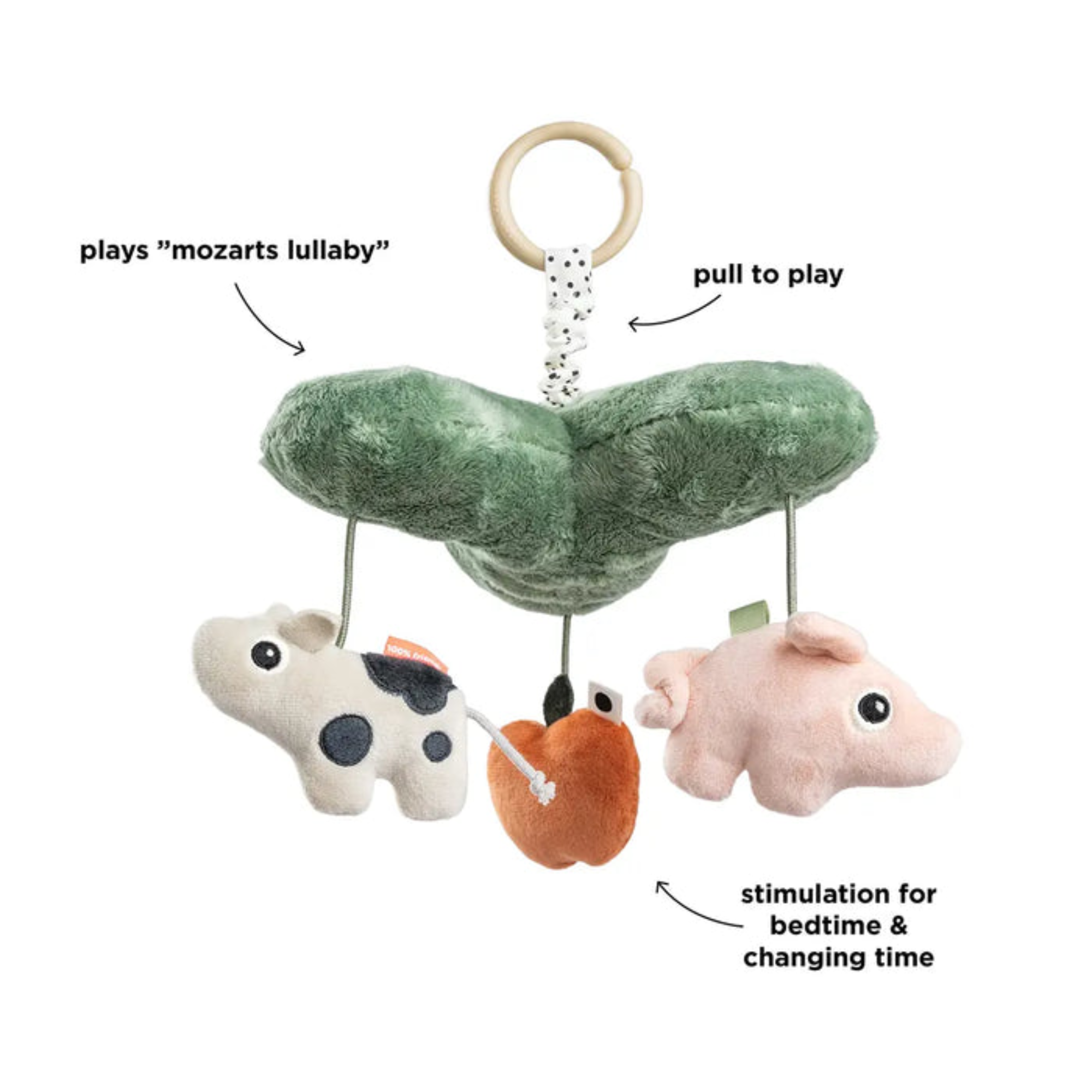 Muzikinis žaislas - Tiny farm Colour mix