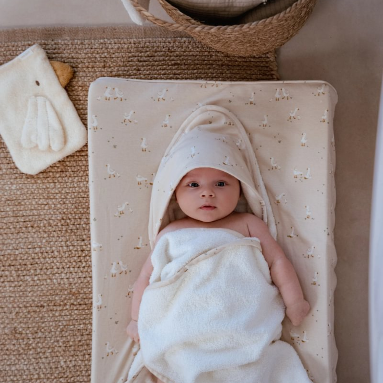 Dovanų dėžutė - Little Goose