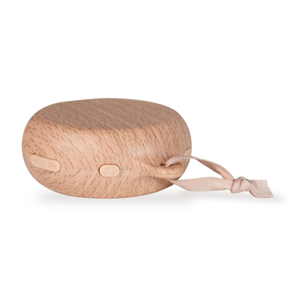 Mobilusis garsiakalbis Shiko