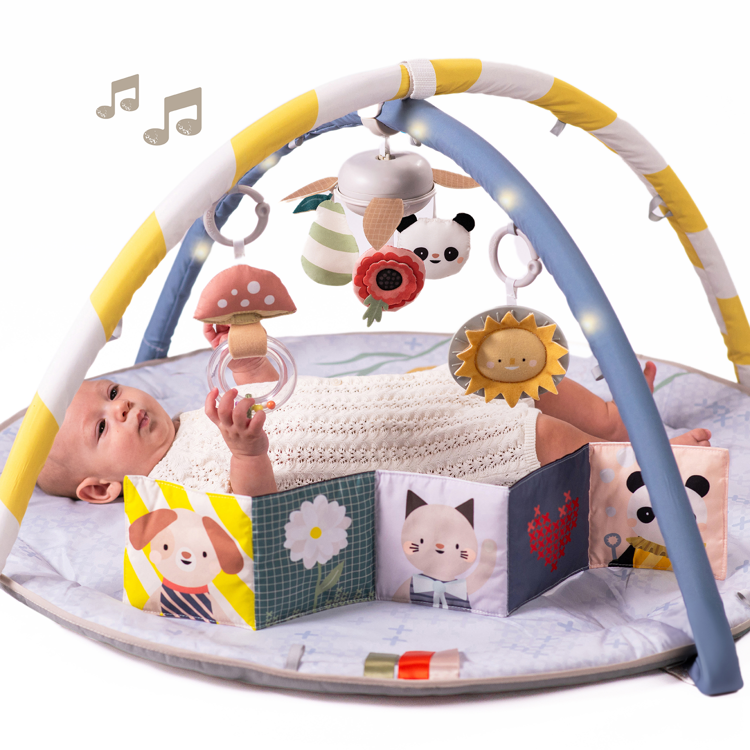 Lavinamasis maniežas - Melody Bloom