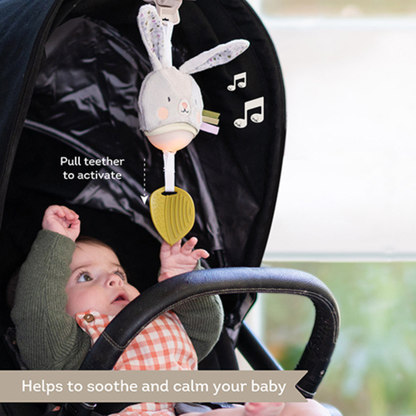 Muzikinis žaislas - Garden bunny