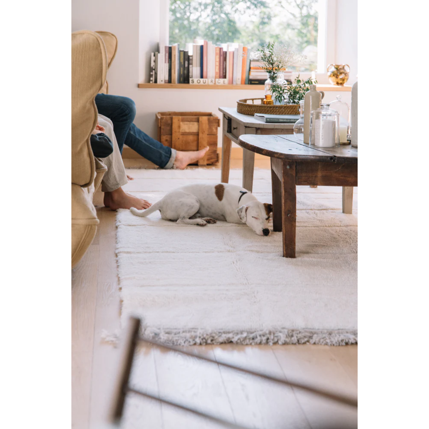 Kilimas Steppe - Sheep white