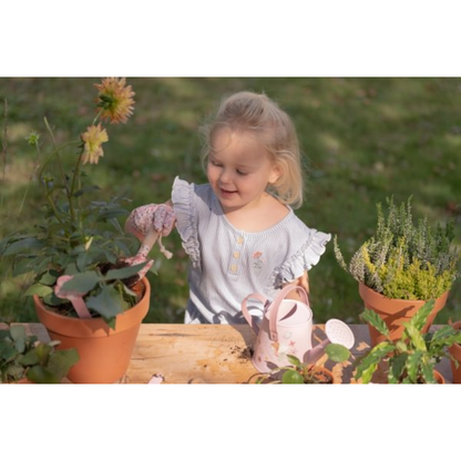 Sodininko rinkinys - Fairy Garden