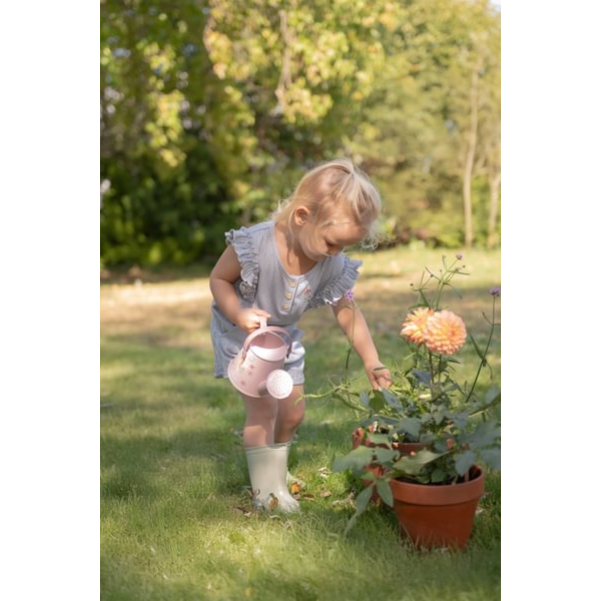 Sodininko rinkinys - Fairy Garden