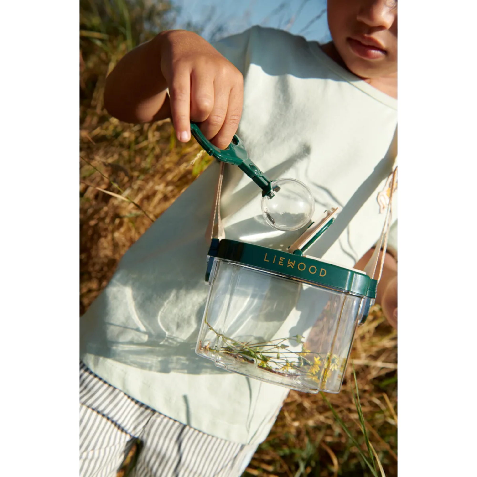 Snack Box - Sailors Bay