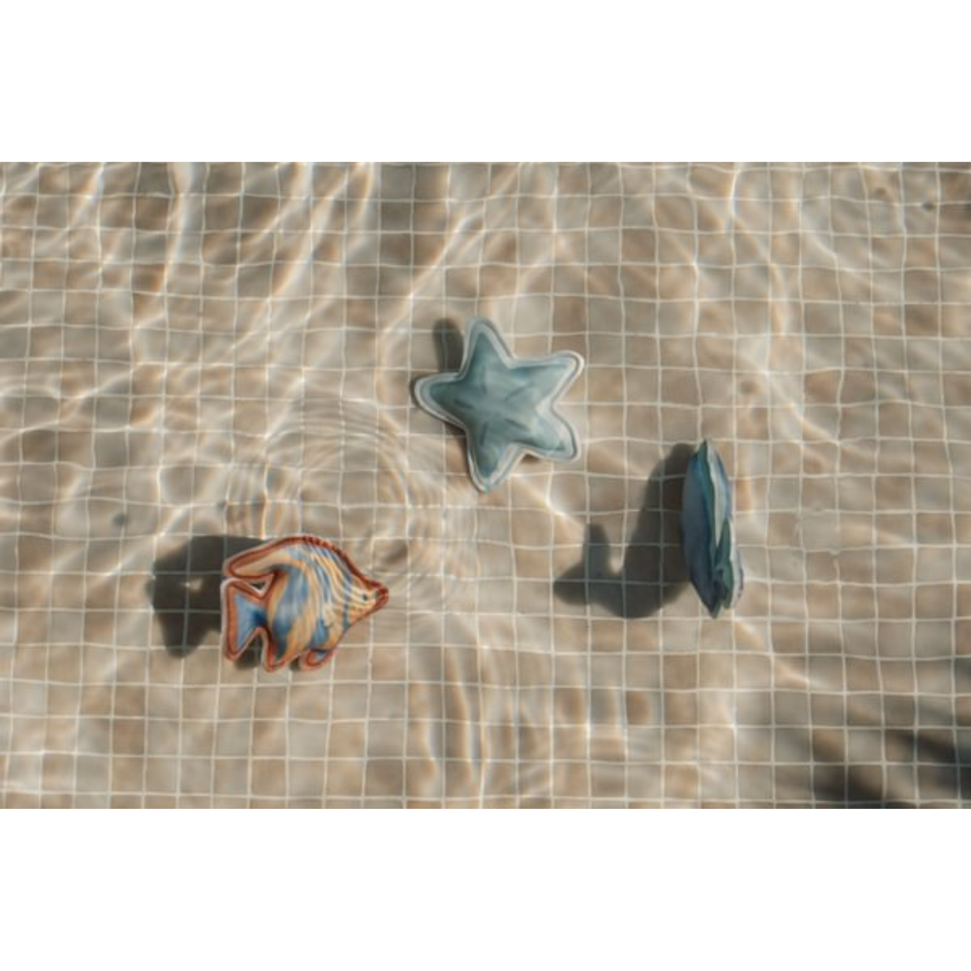 Nardymo žaislai - Ocean World