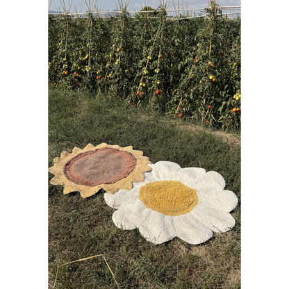 Kilimas Daisy