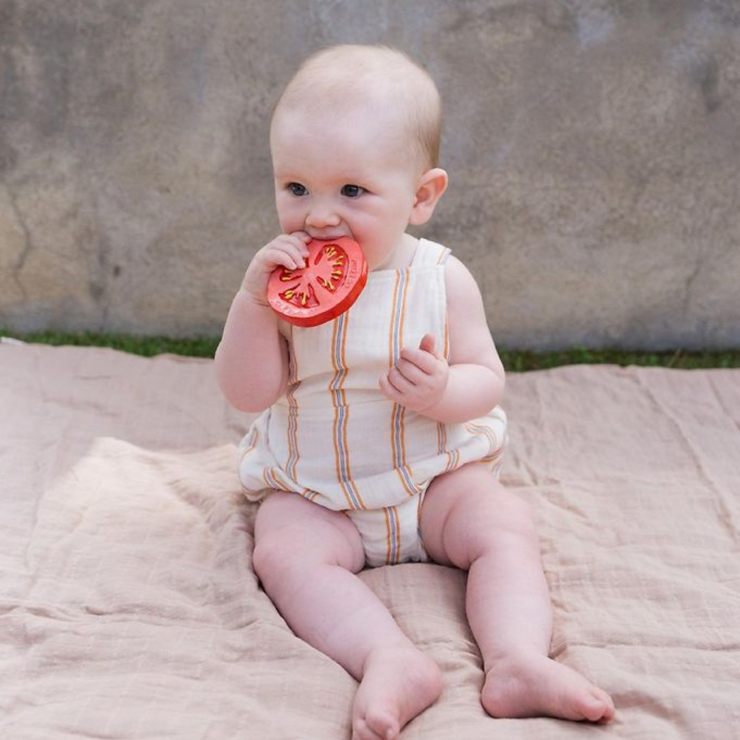 Kramtukas Renato the Tomato